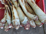 Tiêu dùng - Đặc sản xưa không ai ngó ngàng, nay làm thành món ngon có hương vị lạ được ưa chuộng, 220.000 đồng/kg