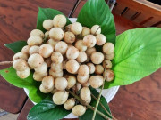 Loại quả xưa có đầy ít người biết, nay thành đặc sản có hương vị lạ, dân thành phố săn lùng
