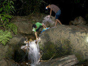Tiêu dùng - "Lộc trời" bò ra từ hốc đá, xuất hiện khi trời mưa, dân bắt về bán 160.000 đồng/kg thành đặc sản nổi tiếng