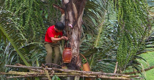 Rượu đoác được dùng trong các lễ hội, cưới hỏi, vị ngọt, thanh mát