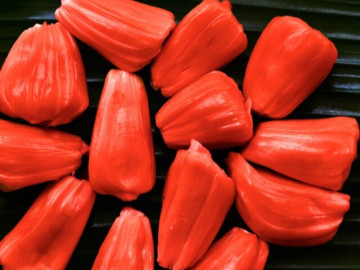 Loại quả xưa không ai biết đến, giờ thành đặc sản vừa ngon vừa hiếm được người thành phố săn lùng, 150.000 đồng/kg