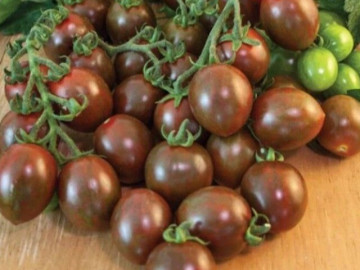 Loại quả xưa không ai biết đến, nay thành đặc sản dân thành phố ưa chuộng vì hương vị lạ, 120.000 đồng/kg