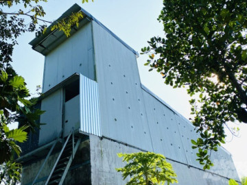 Nuôi loài hoang dã cứ chiều là bay về, không cần cho ăn uống anh nông dân vẫn lãi tiền tỷ, bán làm đặc sản thượng hạng