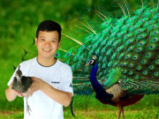 Tin tức - Bỏ việc lương cao về quê nuôi loài vật đẹp “sang chảnh”, anh nông dân ở Hải Dương thu lãi 500 triệu đồng/năm