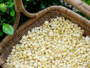 Sức khỏe - 2 loại củ phòng mắc bệnh khi đi mưa, ngâm mình dưới nước, ở Việt Nam trồng nhiều nhưng loại số 1 ít người biết