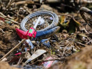 Tin tức - Cảnh tan hoang sau vụ sạt lở ở thôn Nậm Tông làm 18 người chết và mất tích