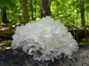 Sức khỏe - 4 thực phẩm và các huyệt đạo giúp dưỡng phế trong "gió lạnh đầu mùa"