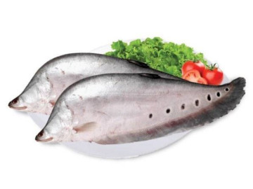 Loại cá xưa có đầy không ai ăn giờ thành đặc sản khan hiếm được săn lùng, rất giàu Omega-3, 350.000...