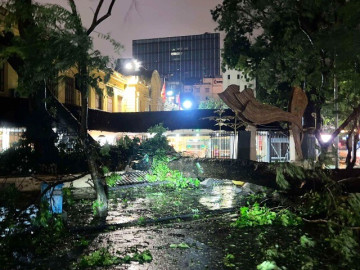 Cây đổ la liệt, đường ngập sâu sau khi bão số 3 Yagi quét qua Hà Nội