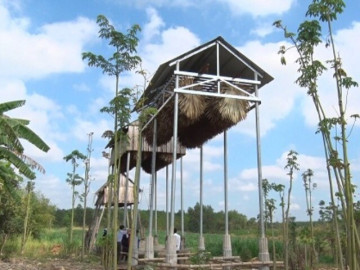 Nuôi loài hoang dã sống về đêm, không cần chăm sóc, không cần cho ăn, anh nông dân vẫn lãi cả trăm triệu đồng