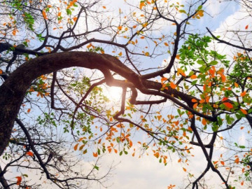 Tin vui về thời tiết đến với hàng triệu người dân Hà Nội và miền Bắc