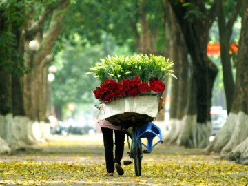 Hà Nội và miền Bắc duy trì kiểu thời tiết trước khi khối không khí lạnh mới tràn về