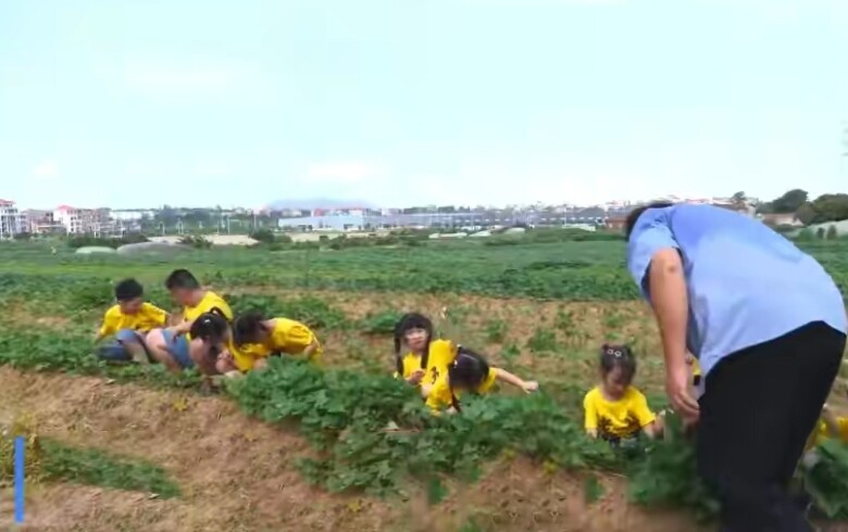 Ông nội một mình chăm 11 đứa cháu ở phố về quê nghỉ hè khiến dân tình “bái phục” - 3