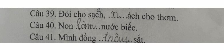 Loạt đáp án thành ngữ “Của ít, lòng…”  của học sinh tiểu học khiến giáo viên “khóc thét”, dân mạng cười bò - 2