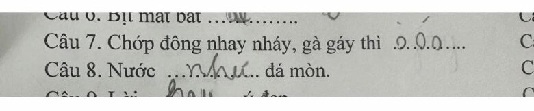 Loạt đáp án thành ngữ “Của ít, lòng…”  của học sinh tiểu học khiến giáo viên “khóc thét”, dân mạng cười bò - 6