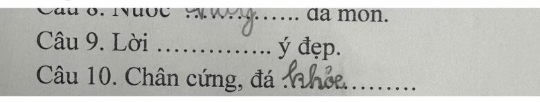 Loạt đáp án thành ngữ “Của ít, lòng…”  của học sinh tiểu học khiến giáo viên “khóc thét”, dân mạng cười bò - 8