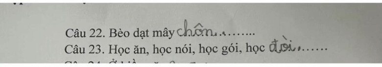 Loạt đáp án thành ngữ “Của ít, lòng…”  của học sinh tiểu học khiến giáo viên “khóc thét”, dân mạng cười bò - 7