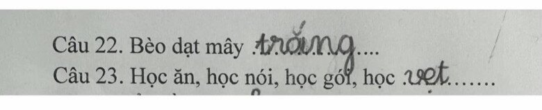 Loạt đáp án thành ngữ “Của ít, lòng…”  của học sinh tiểu học khiến giáo viên “khóc thét”, dân mạng cười bò - 9