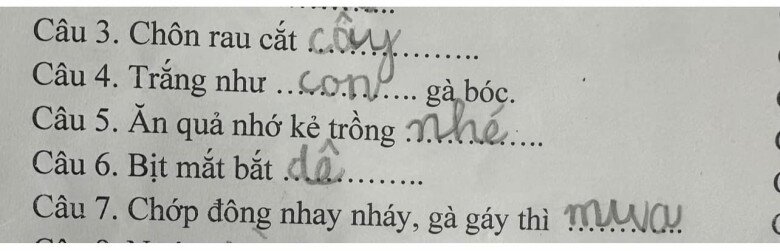 Loạt đáp án thành ngữ “Của ít, lòng…”  của học sinh tiểu học khiến giáo viên “khóc thét”, dân mạng cười bò - 1