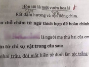 Yêu con - Bài tập điền vào chỗ trống: “... là người mẹ thứ hai của em”, học sinh có câu trả lời khiến bố mẹ điếng người