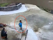 Yêu con - Mải mê lướt TikTok, ông nội để cháu trai 3 tuổi rơi xuống sông gần nhà rồi ra đi mãi mãi mà không hay biết