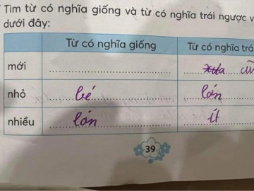 Câu hỏi tiểu học: Đồng nghĩa với mới là gì? Đáp án 2 từ cô giáo đưa ra khiến phụ huynh hoang mang