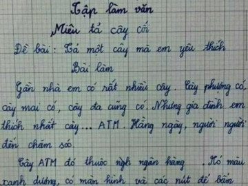 Cô giáo ra đề văn tả cây cối, bé tiểu học kể về cây cho ra tiền khiến ai đọc cũng cười bể bụng