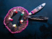 Lifestyle - Đến Long An mùa nước nổi ngắm "vũ điệu" hoa súng đẹp nao lòng