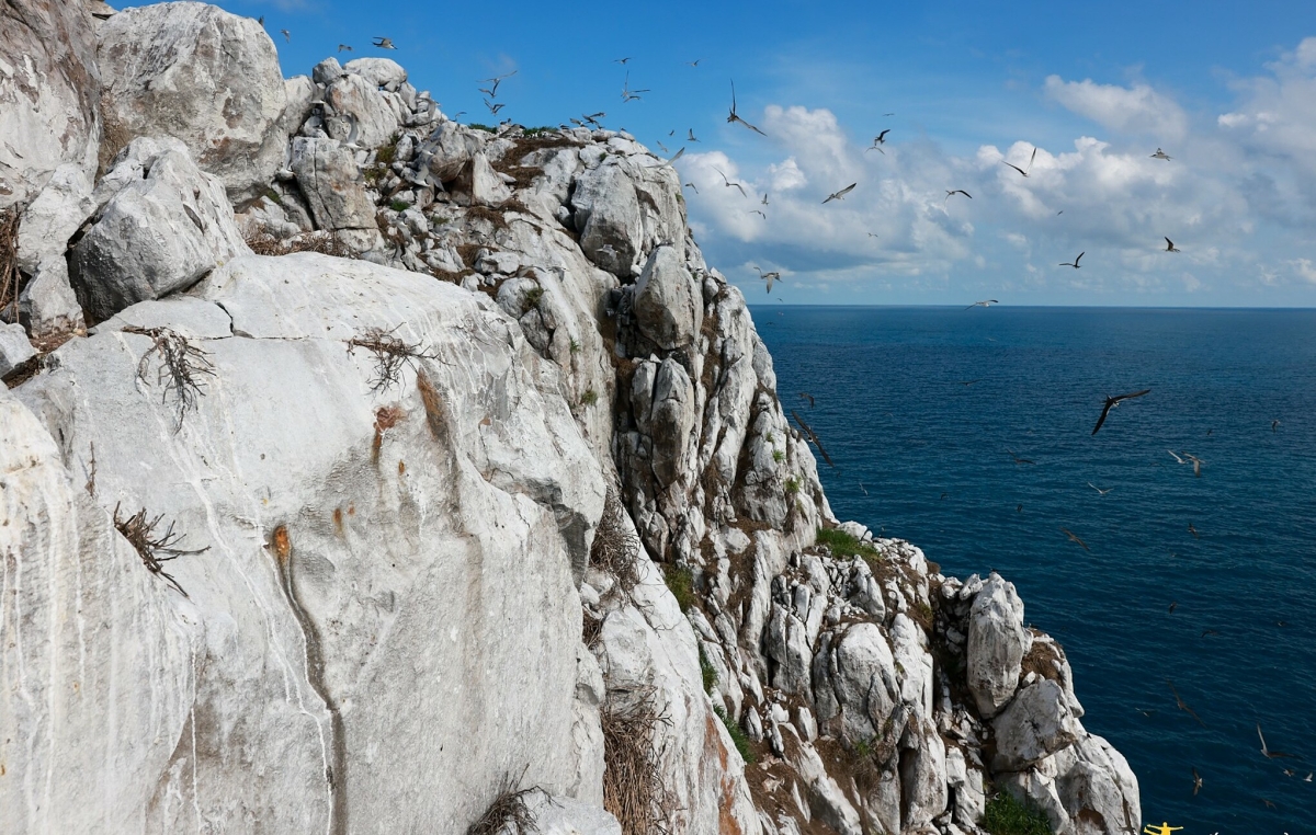 Thiên nhiên trên Hòn Trứng - Côn Đảo - 10