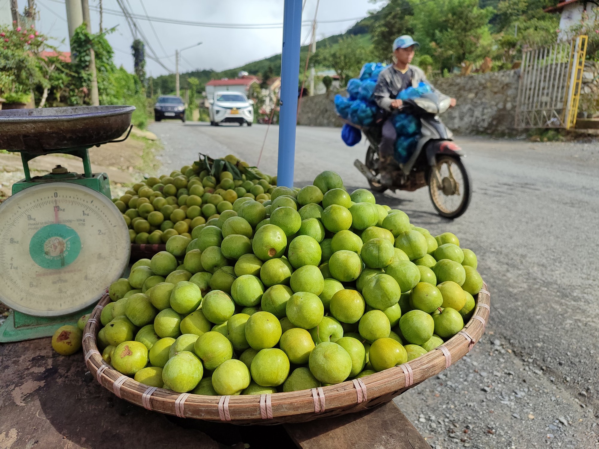 Loại mận róc hạt này có vị chua chát nhẹ, ăn giòn và đặc biệt là phần hạt róc với thịt quả nên được nhiều người tiêu dùng ưa chuộng.