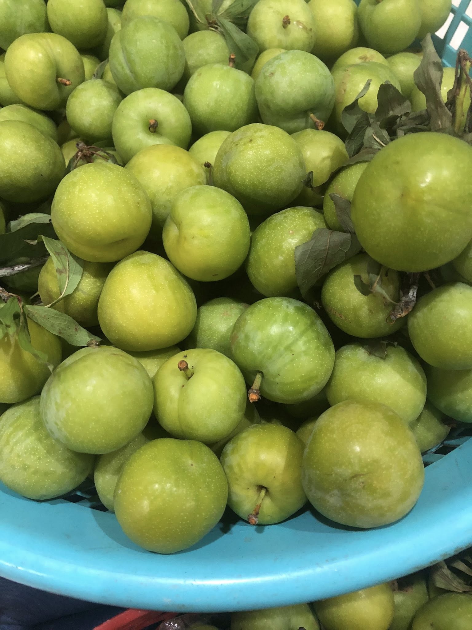 Nhiều tiểu thương chia sẻ, nguồn gốc thực sự của loại mận này là ở Trung Quốc chứ không phải của Việt Nam.