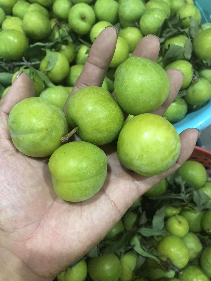 Mận róc hạt được bán tràn ngập thị trường và có nhiều tiểu thương vì lợi ích mà nhập nhằng về nguồn gốc.