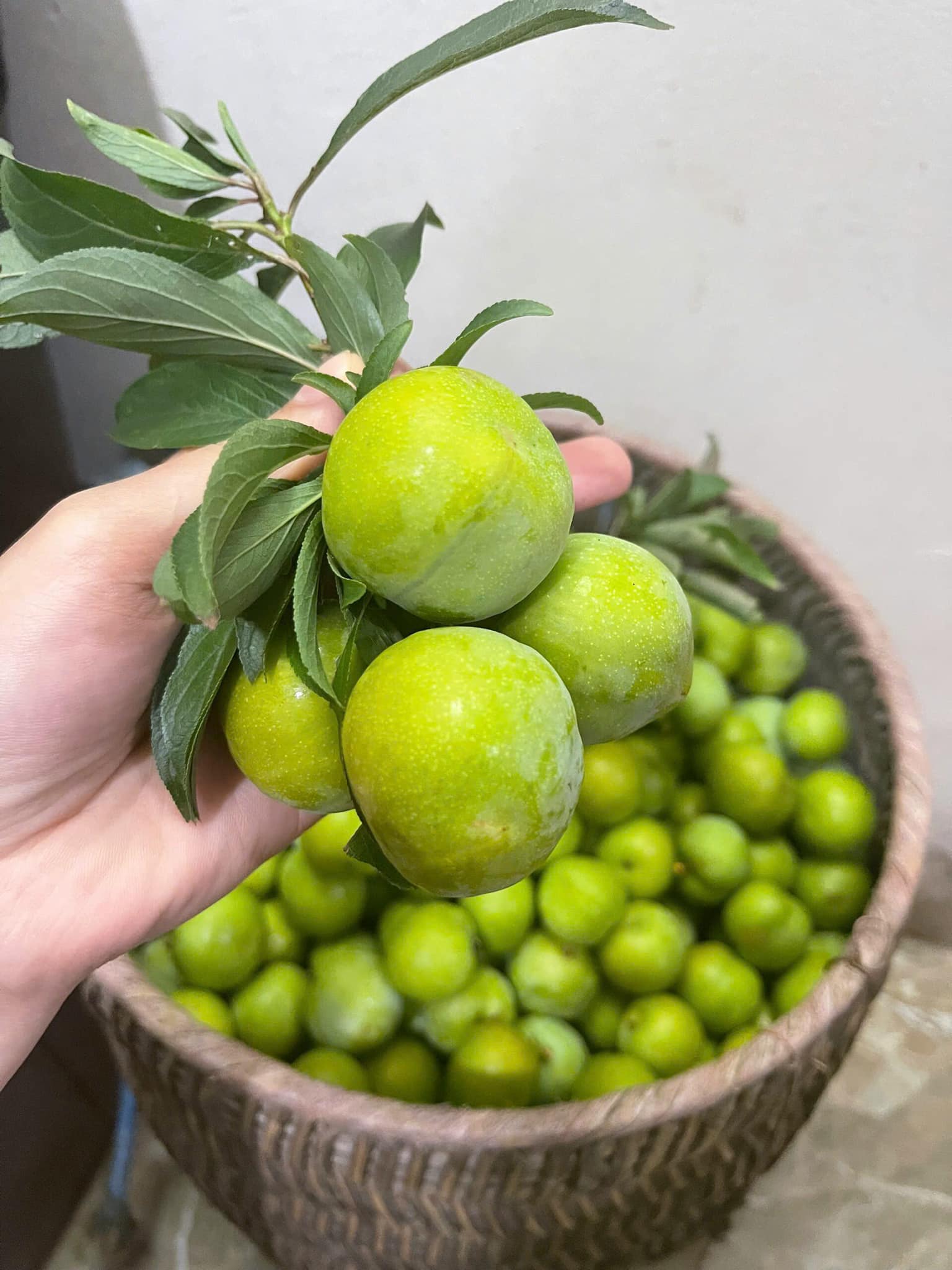 Cách tốt nhất để mua được hàng đảm bảo người tiêu dùng nên chọn địa chỉ uy tín để trao gửi niềm tin.