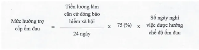 Quy định mới nhất về chế độ ốm đau, trợ cấp một lần, thời điểm hưởng lương hưu - 1