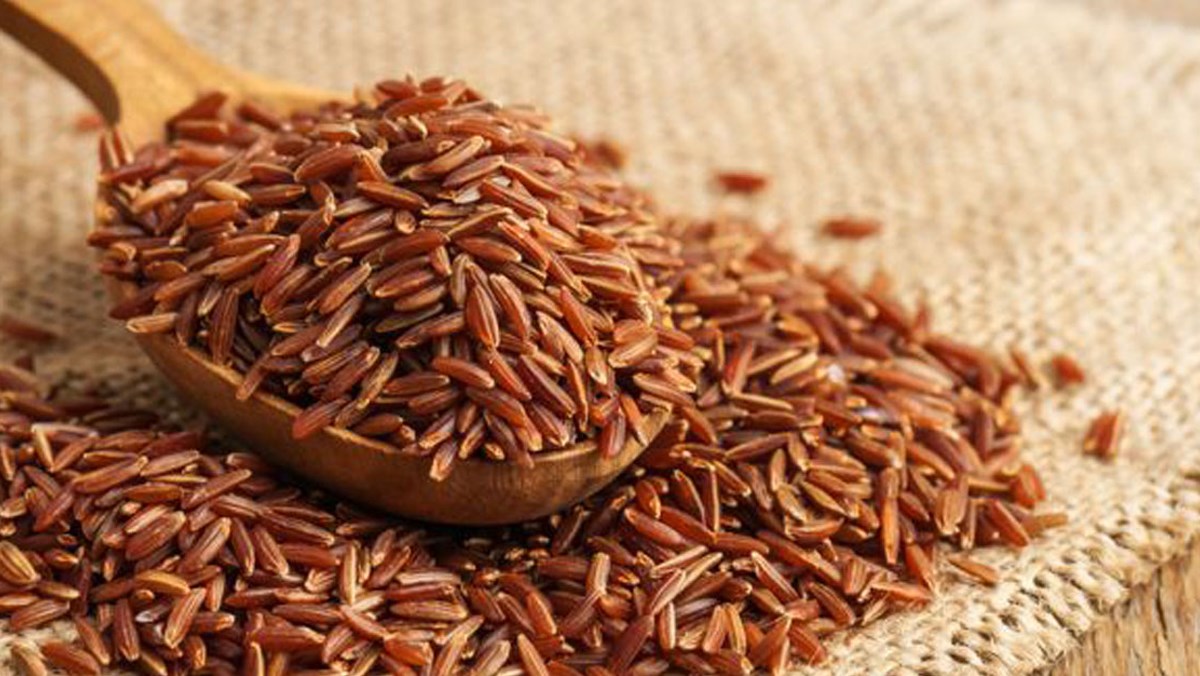 Gạo lứt dưỡng khi huyết, nhuận tràng tốt cho người làm việc trong điều hòa lâu.