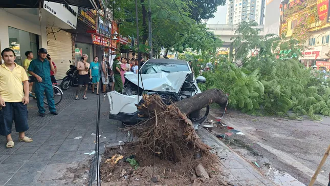 (Ảnh: Thanh Hà)