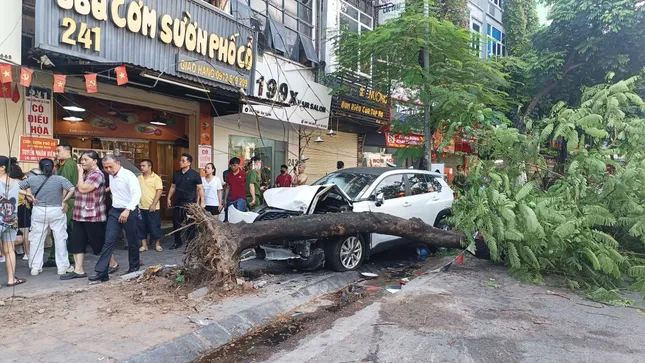Chiếc xe ô tô húc đổ cây ven đường rồi dừng lại. (Ảnh: Thanh Hà)