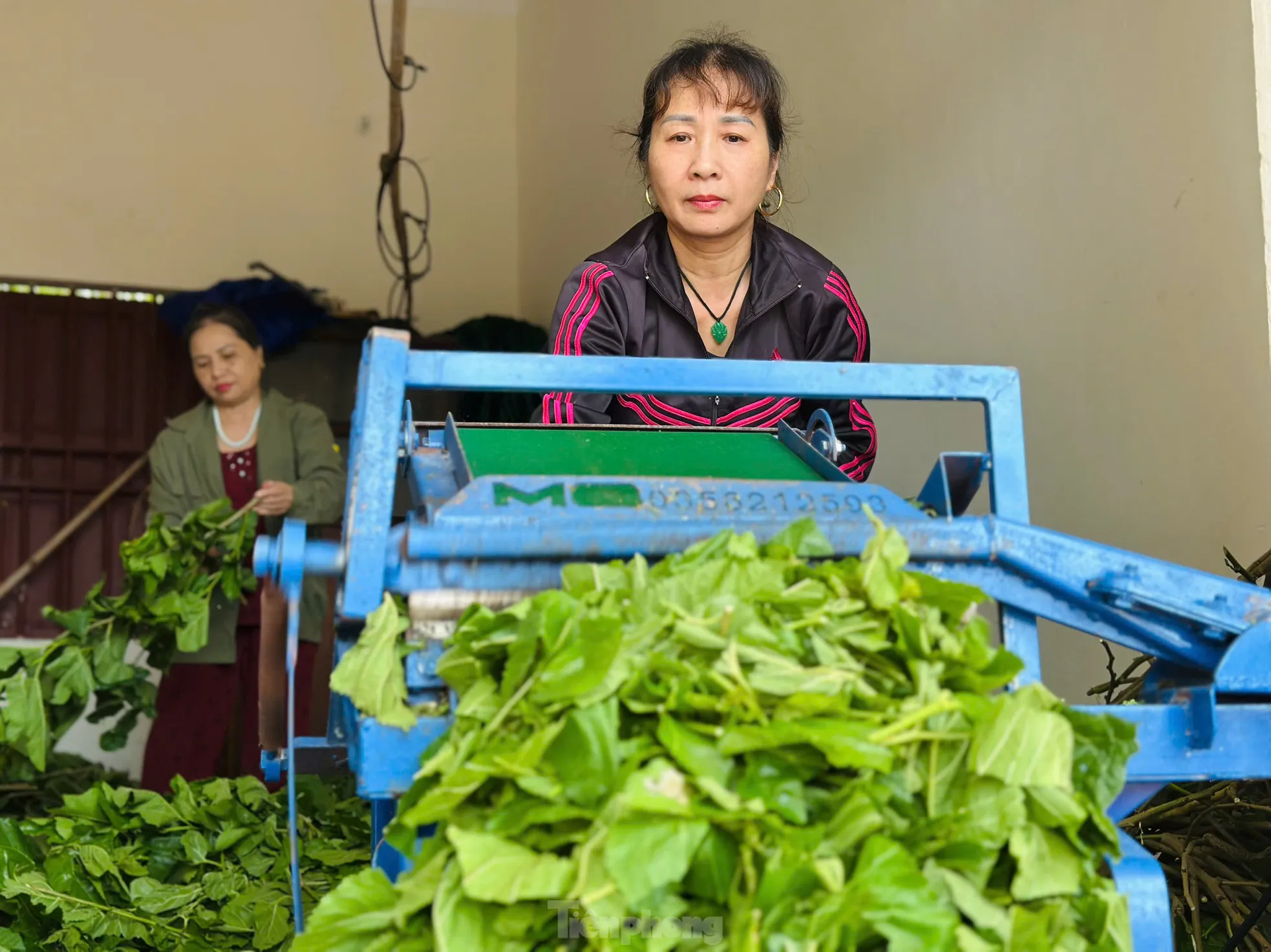 Lắp máy lạnh nuôi tằm cho thu nhập nửa tỉ/năm - 8