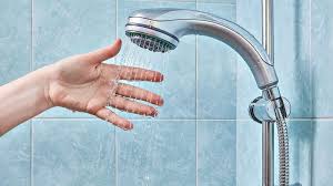 Sử dụng hỗn hợp chanh và muối làm sạch vòi hoa sen.