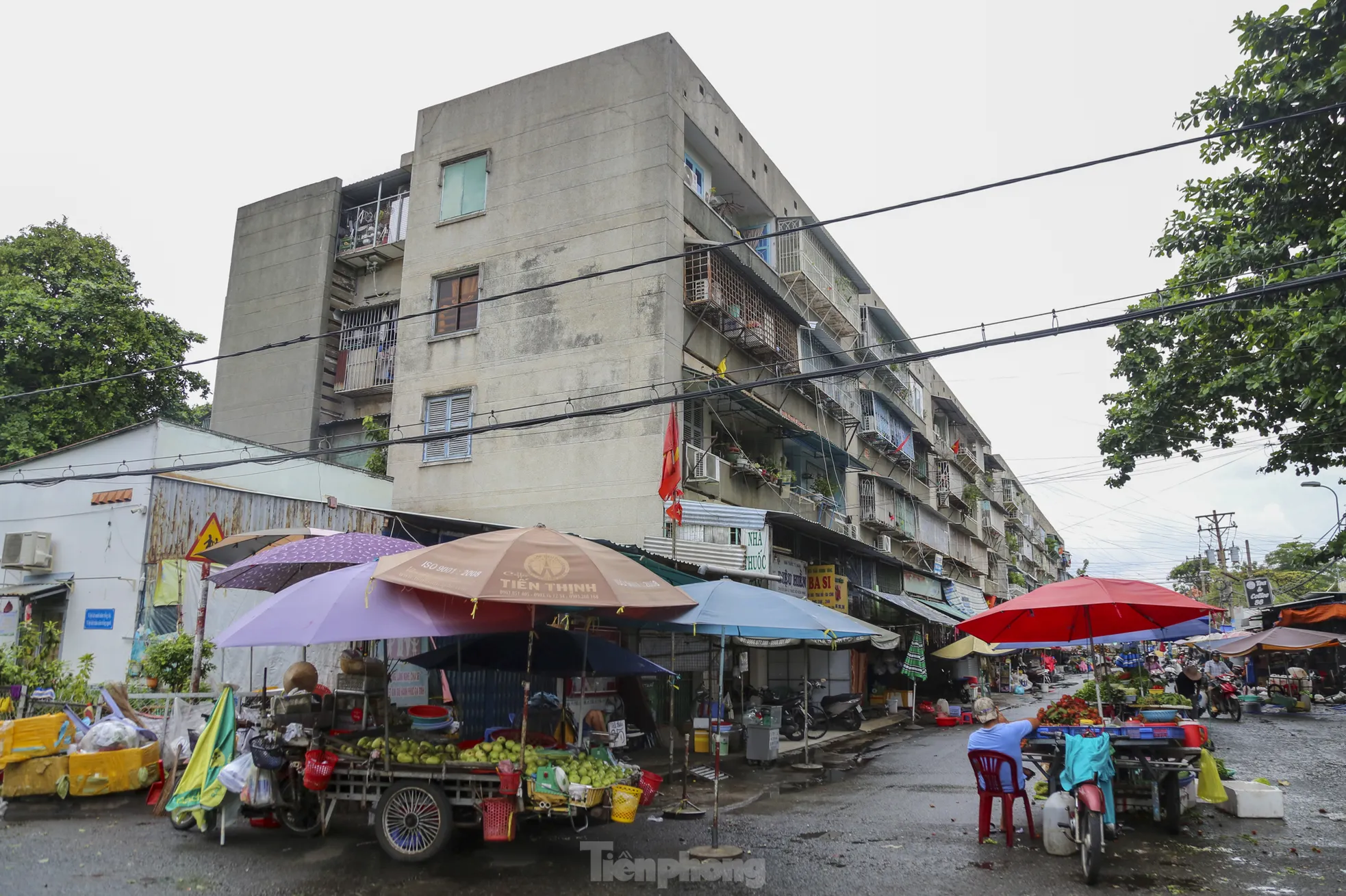 Các chuồng cọp được chồng tầng lên nhau, lơ lửng trên không.