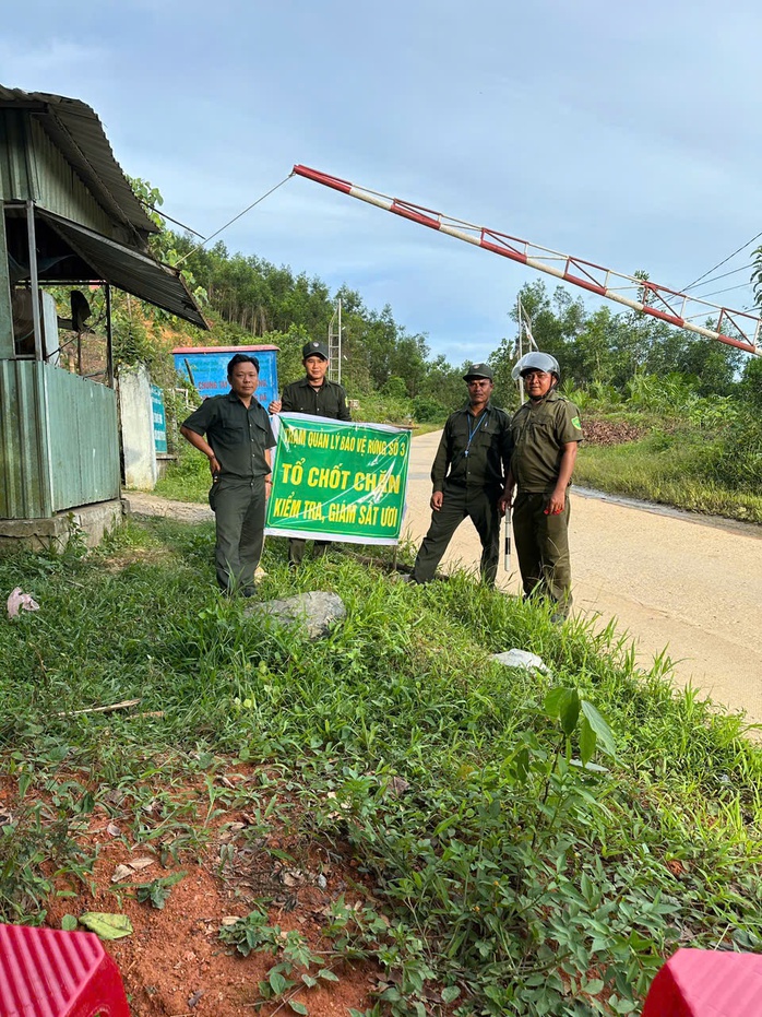 Cả ngàn người ở Đà Nẵng vào rừng nhặt thứ hạt rơi từ trên trời xuống, thu tiền triệu - 13