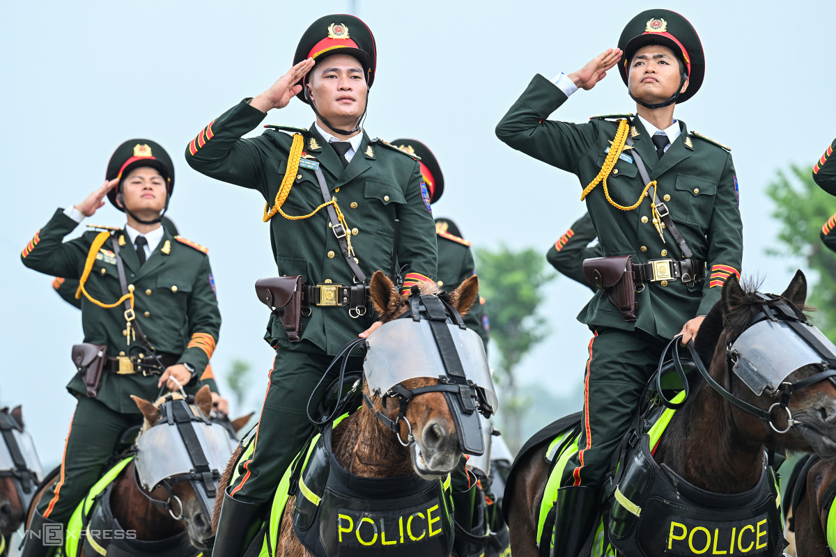 Con ngựa của Trưởng khối tập luyện kỵ binh được nhập từ Mông Cổ, hơn 11 tuổi, dáng đẹp, cao chừng 1,4 m tính từ võng lưng xuống đất, nặng hơn 340 kg.