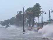 Tin tức - Bão số 3 vừa tan lại xuất hiện áp thấp nhiệt đới trên biển