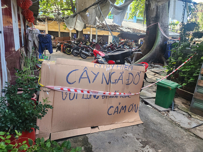Biển cảnh báo được gắn gần gốc cây gòn, sáng 25/7. Ảnh: Đình Văn