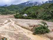 Tin tức - 138 điểm có nguy cơ rất cao lũ quét, sạt lở đất