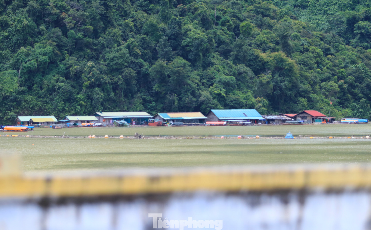 Phía trên lòng hồ thủy điện Bản Vẽ, các nhà bè nuôi cá không bị ảnh hưởng.