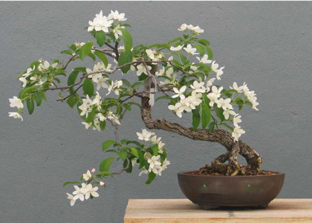 Tháng 6 nhuận là thời gian được "tặng thêm", tận dụng làm vài việc đơn giản sau để đón tháng 