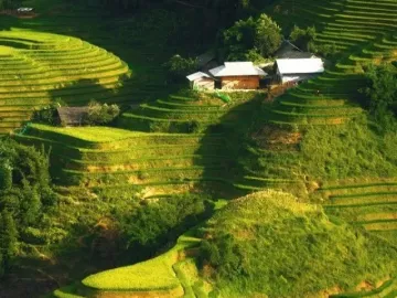 Lifestyle - Bản Ý Linh Hồ vào mùa lúa ngả vàng, đẹp mê hoặc lôi cuốn du khách