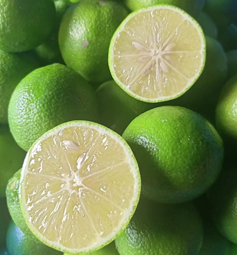 Chanh là nguồn vitamin C dồi dào, giúp kích thích sản xuất glutathione trong gan. Buổi sáng, uống một ly nước ấm pha chanh có thể hỗ trợ tiêu hóa và thải độc gan. Có thể pha nước ấm với chanh, thêm chút đường hoặc dùng chanh làm nước sốt, đồ uống, salad.