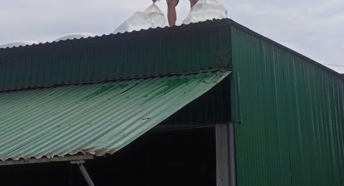 Người dân ven biển tỉnh Nghệ An bơm nước vào các túi nilon tlên mái nhà để ứng phó gió giật mạnh khi bão số 5 đổ bộ